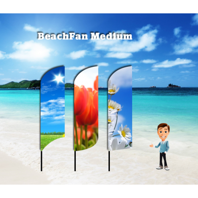 BeachFan Medium - 4-pack